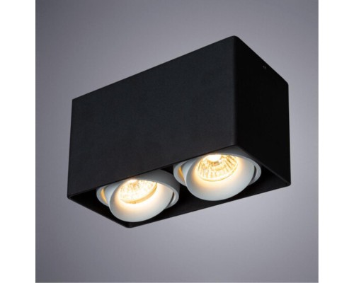 Точечный накладной светильник Arte Lamp PICTOR A5654PL-2BK