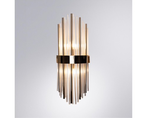 Настенный светильник Arte Lamp ACAPULCO A1007AP-2GO