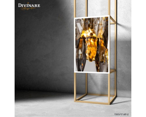 Настенный светильник Divinare OPHELIA 7203/17 AP-2