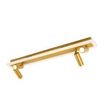 Спот Arte Lamp TOMMY A2607PL-30GO