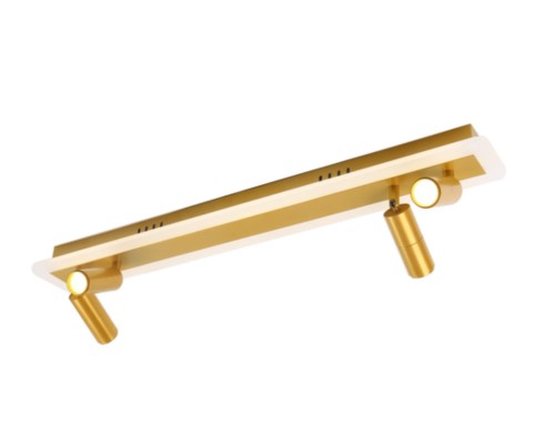 Спот Arte Lamp TOMMY A2607PL-30GO