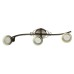 Спот Arte Lamp FOCUS A5219PL-3BR