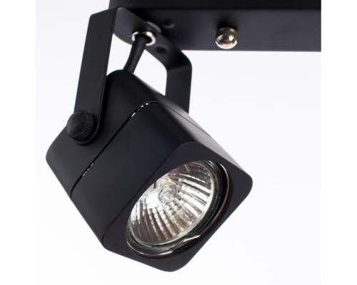 Спот Arte Lamp LENTE A1314PL-2BK