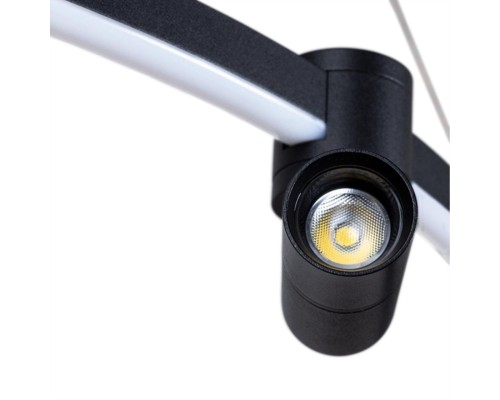 Подвесная люстра Arte Lamp RING A2186SP-1BK