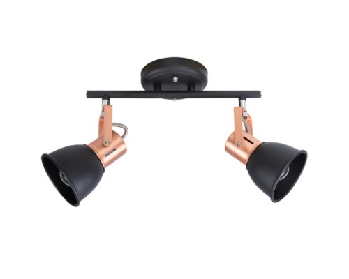 Спот Arte Lamp JOVI A1677PL-2BK