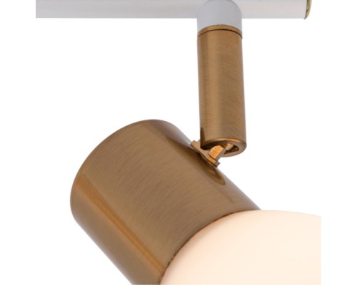 Спот Arte Lamp FALENA A3117PL-2WH