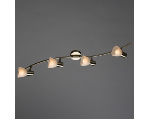 Спот Arte Lamp PARRY A5062PL-4AB