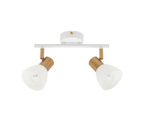 Спот Arte Lamp FALENA A3117PL-2WH