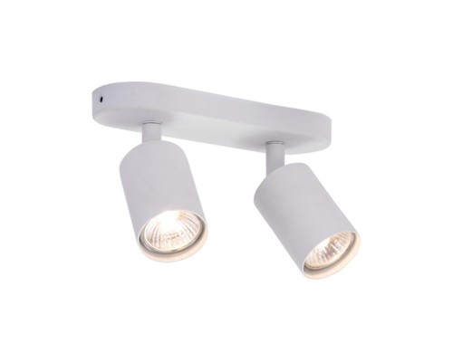 Спот Arte Lamp AQUARIUS A3226PL-2WH