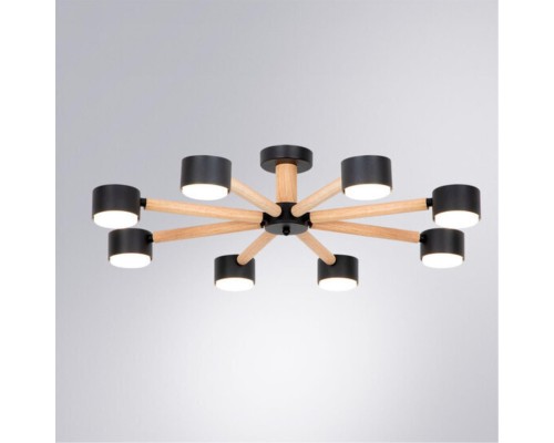 Потолочная люстра Arte Lamp TENDA A1624PL-8BK