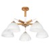 Потолочная люстра Arte Lamp MATTHEW A5032PL-5BR