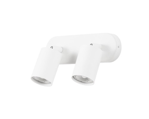 Спот Arte Lamp AQUARIUS A3226PL-2WH