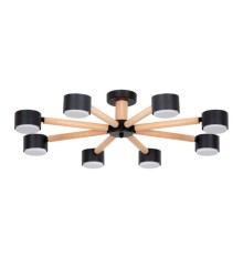 Потолочная люстра Arte Lamp TENDA A1624PL-8BK