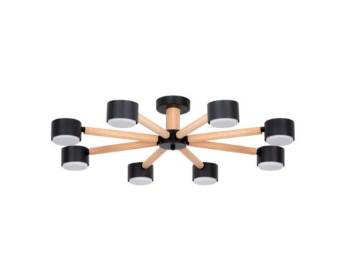 Потолочная люстра Arte Lamp TENDA A1624PL-8BK