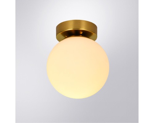 Настенно-потолочный светильник Arte Lamp ALCOR A2224PL-1PB