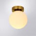 Настенно-потолочный светильник Arte Lamp ALCOR A2224PL-1PB