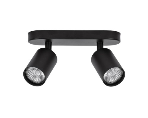 Спот Arte Lamp AQUARIUS A3226PL-2BK