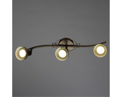 Спот Arte Lamp FOCUS A5219PL-3BR