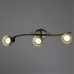 Спот Arte Lamp FOCUS A5219PL-3BR