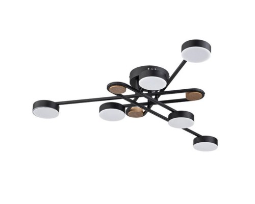 Потолочная люстра Arte Lamp TAYGETA A2455PL-6BK