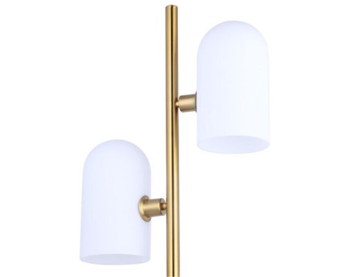 Торшер Arte Lamp CASSEL A5454PN-2PB