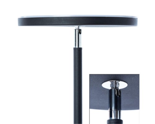 Торшер Arte Lamp SCEPTRUM A1822PN-1BK