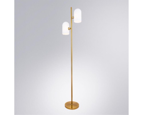 Торшер Arte Lamp CASSEL A5454PN-2PB