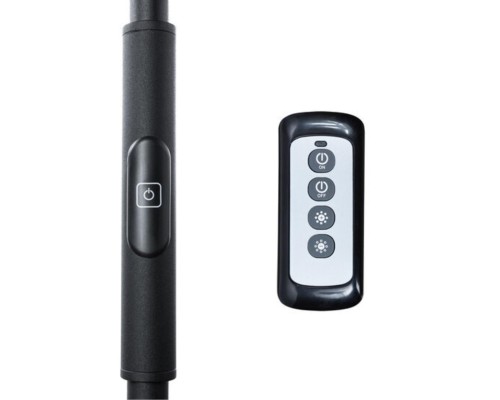 Торшер Arte Lamp SCEPTRUM A1822PN-1BK