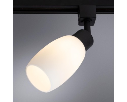 Трековый светильник Arte Lamp MIIA A3055PL-1BK