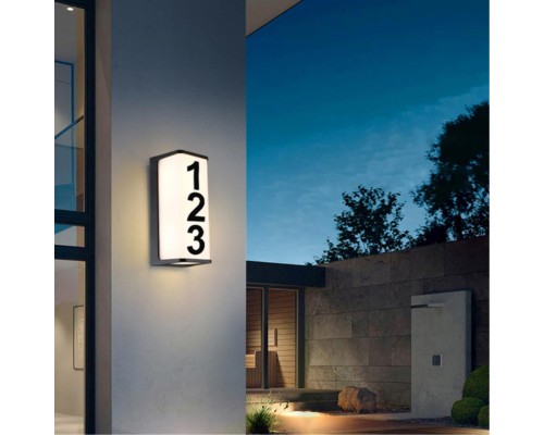 Уличный настенный светильник Arte Lamp LANCIA A6419AL-1BK