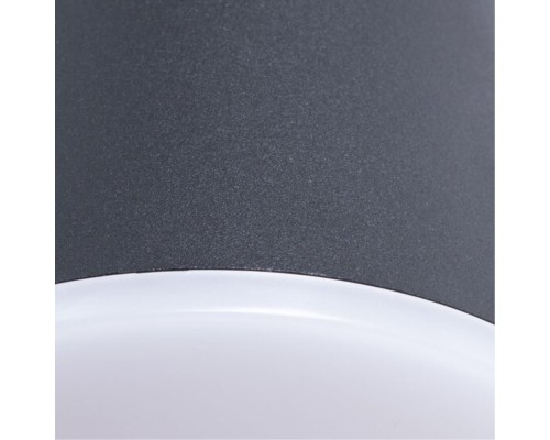 Уличный настенный светильник Arte Lamp CHICO A2212AL-2BK