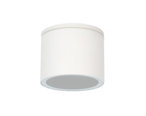 Уличный потолочный светильник Arte Lamp PIAUTOS A1913PF-1WH