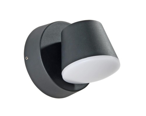 Уличный настенный светильник Arte Lamp CHICO A2212AL-1BK