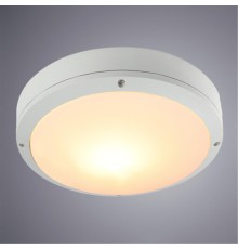 Уличный потолочный светильник Arte Lamp CITY A8154PF-2WH