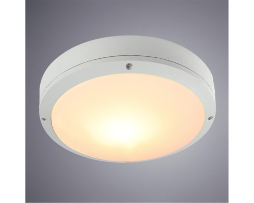 Уличный потолочный светильник Arte Lamp CITY A8154PF-2WH