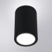 Уличный потолочный светильник Arte Lamp TORCULAR A1307PF-1BK