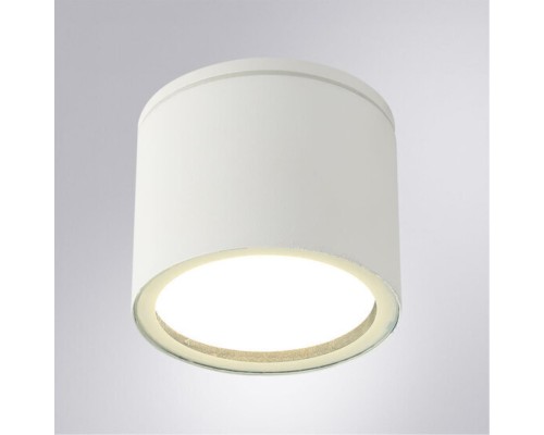 Уличный потолочный светильник Arte Lamp PIAUTOS A1913PF-1WH