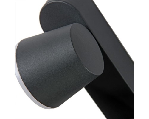 Уличный настенный светильник Arte Lamp CHICO A2212AL-2BK