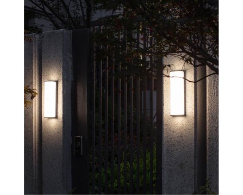 Уличный настенный светильник Arte Lamp LANCIA A6419AL-1BK