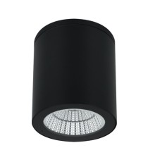 Уличный потолочный светильник Arte Lamp TORCULAR A1313PF-1BK