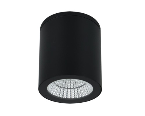 Уличный потолочный светильник Arte Lamp TORCULAR A1313PF-1BK