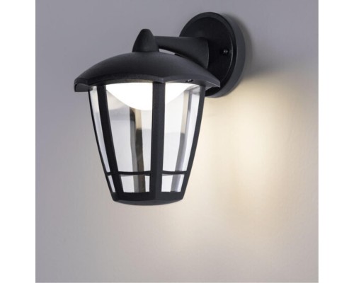 Уличный настенный светильник Arte Lamp ENIF A6064AL-1BK