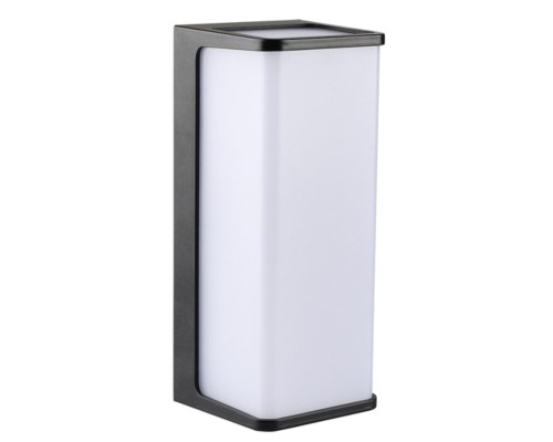 Уличный настенный светильник Arte Lamp LANCIA A6419AL-1BK