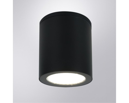 Уличный потолочный светильник Arte Lamp TORCULAR A1313PF-1BK