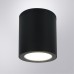 Уличный потолочный светильник Arte Lamp TORCULAR A1313PF-1BK