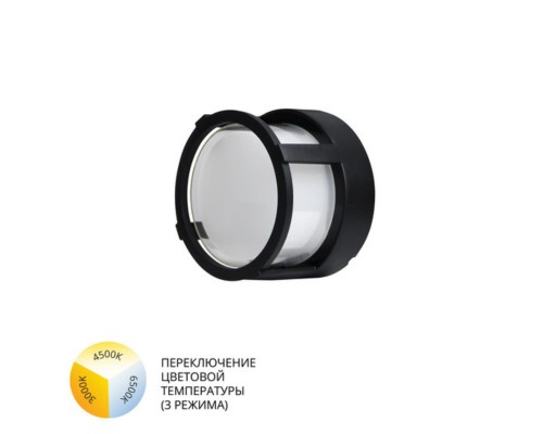 Уличный потолочный светильник Arte Lamp ULYSSES A6206PF-1BK