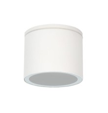 Уличный потолочный светильник Arte Lamp PIAUTOS A1913PF-1WH