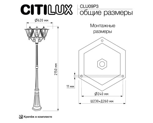 CLU09P3 FORTS  Парковый  Уличный Св-к