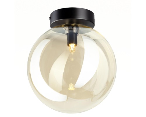 CL202512 ORTON Шампань Св-к Наст.-Потол