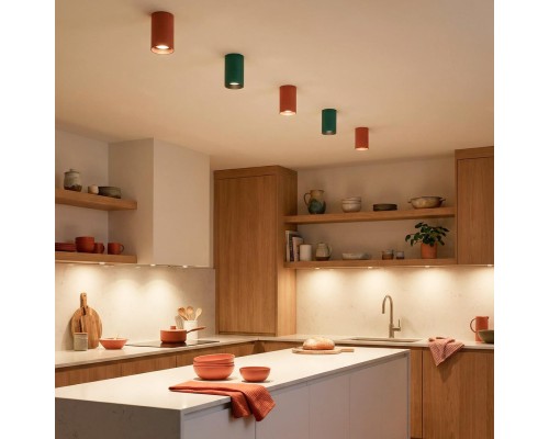 CL512115 AXEL Зеленый Св-к Потолочный